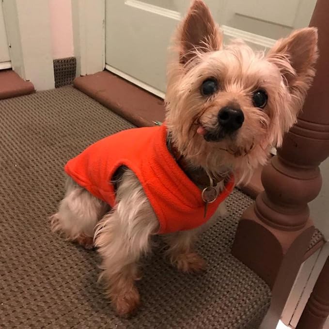 Gooby - Fleece Vest, Small Dog Pullover Fleece Jacket with Leash Ring, Pumpkin, X-Small