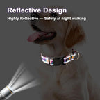 Reflective Martingale Collar for Dogs with Quick Release Buckle No Pull Training Dog Collars (Colorful Geometric, Medium)