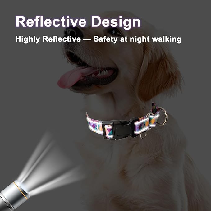 Reflective Martingale Collar for Dogs with Quick Release Buckle No Pull Training Dog Collars (Colorful Geometric, XSmall)