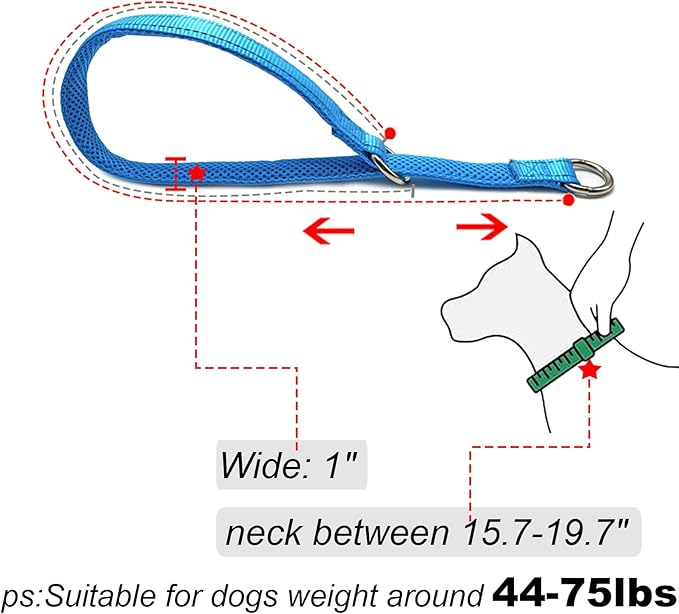 Reflective Slip Dog Collar, Loop Dog Collar for 44-75 lbs Dogs Nylon Collars with Soft Padded for Pet Training– Teal 1" W x 22" L (Fits Neck 15.7"-19.7")