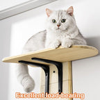 Cat Tree Door Hanger, Door Hanging Cat Climber Shelves, 4-Levels Mounted Over Door Cat Climber for Indoor Cats