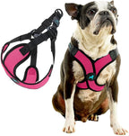 Gooby Comfort X Step in Lite Dog Harness - Choke Free, Escape Free with Light Breathable Mesh - Step in Dog Harness for Small Dogs Only - Quick Release Buckle, Metal D-Rings - Flamingo Pink, X-Large