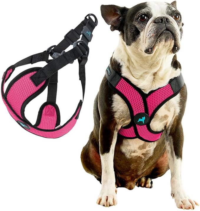 Gooby Comfort X Step in Lite Dog Harness - Choke Free, Escape Free with Light Breathable Mesh - Step in Dog Harness for Small Dogs Only - Quick Release Buckle, Metal D-Rings - Flamingo Pink, X-Large
