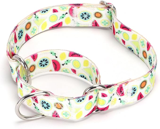 Serijoars Adjustable Martingale Dog Collar Heavy Duty Nylon Dog Collar for Medium Large Dogs Walking Training Boy and Girl Dogs (NO6, M)