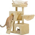 35.8-inch Cat Tree with Double Cat Beds & Hammock, Plush Perch Scratcher with Comfort Sleep Platform and Toy Ball for Indoor Cats (Beige)