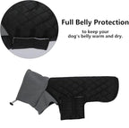 Geyecete Dachshund Coat Winter,Warm Dachshund Coat Waterproof Windproof, High Neckine String Holes Miniature Dachshund Jacket for Small Dog-Black-XL