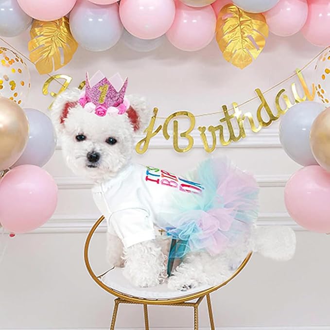 ANIAC Dog Birthday Dress and Hat Set Puppy Lace Tutu Pink Pet Crown Hat with 0-9 Figures Birthday Outfit for Cats Small Dog (White+Pink,Medium)
