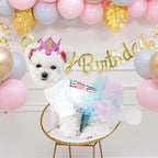 ANIAC Dog Birthday Dress and Hat Set Puppy Lace Tutu Pink Pet Crown Hat with 0-9 Figures Birthday Outfit for Cats Small Dog (White+Pink,Large)
