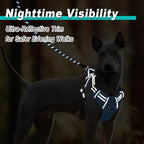 BARKBAY Dog Harness No Pull Mesh for Large Dogs - Adjustable, Reflective, Comfortable, No Choke, Heavy-Duty - Perfect for Outdoor Training, Walking, and Hiking - Strong & Durable - L & Blue Mesh