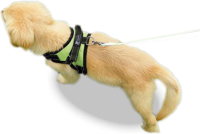 No Pull Reflective Adjustable Dog Harness with Handle- Comfortable Soft All Weather Mesh, Easy On Puppy Harness for Small Medium and Large Dogs (Green) X-Small
