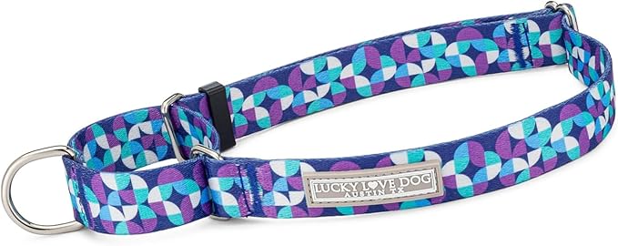 Lucky Love Dog Martingale Dog Collar & Leash - Adjustable, No-Slip, Durable, Comfortable, Soft Webbing, & Stylish Patterned Collar & Leash Set for Male and Female Dogs - Jasper Combo, Medium