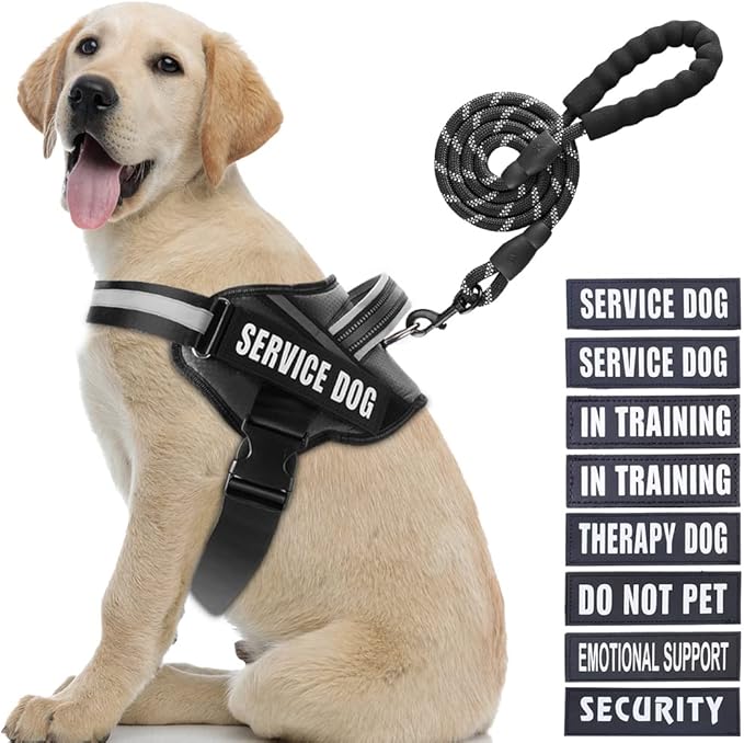 Service Dog Vest Harness and Leash Set, Animire in Training Dog Harness with 10 Dog Patches, Reflective Dog Leash with Soft Padded Handle for Small, Medium, Large, and Extra-Large Dogs (Black,L)