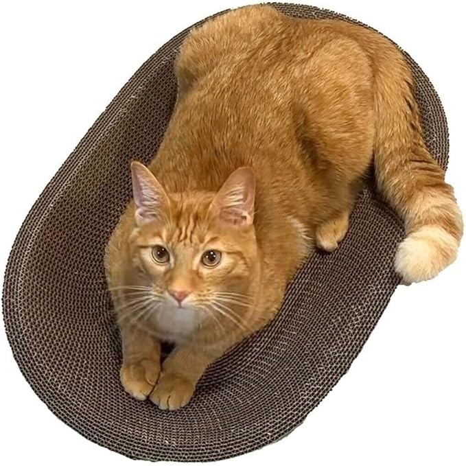 B Kitty Scratcher Cat Bed, Fun for Your Purr-FECT Feline (B-Scratcher Oval Pack x 5)