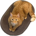 Cat Scratcher Lounge Cardboard Bed – Sturdy Oval Shape for Claw Care and Comfort