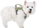 Tactical Dog Harness for Small Dog - Reflective Puppy Pet Vest No Pull Military Service Dog Vest with Vertical Handle XS Dog Harness for Outdoor Training