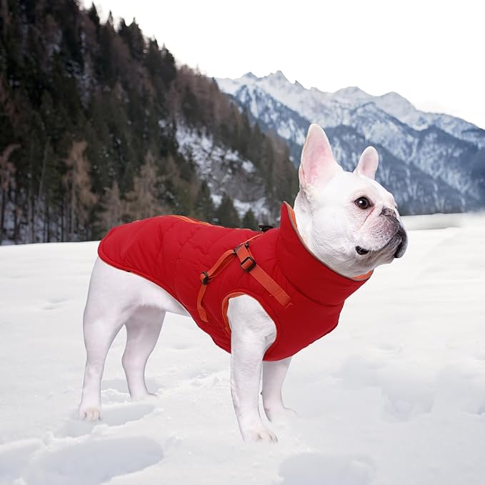 Geyecete Winter Warm Coat Waterproof Dog Winter Jacket with Harness Traction Belt,Windproof Pet Outdoor Jacket Dog Autumn-Red-XL