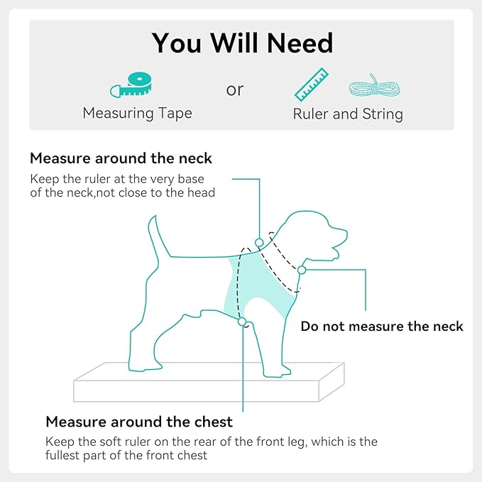 Joytale Small Dog Harness, Breathable Mesh Step-in Vest, Reflective Soft Padded Harnesses for Small and Medium Dogs, Teal, M