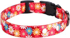 Rhea Rose 1 Inch Replacement Collar Strap Shock Collar with 2 Holes, Compatible with Nearly All Brands and Models of Underground Electric Dog Fences and Training Collars, Red Daisy