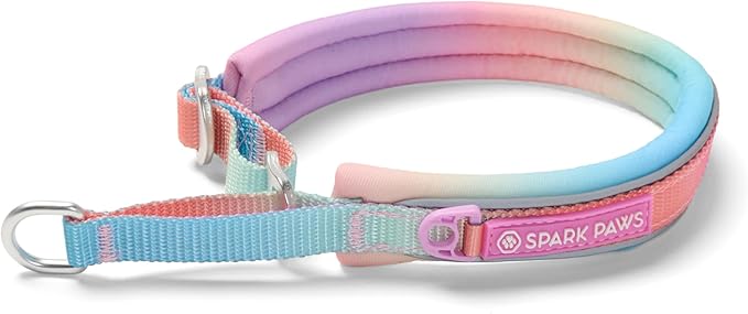 Spark Paws Martingale Dog Collar – Cushioned Slip-On Training Collar, Heavy Duty, Safety-Tested No-Buckle Collar for Medium & Large Dogs - Pastel Icing - B