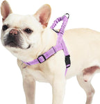 PUPTECK No Pull Dog Harness Small Sized Dog, Adjustable Reflective Pet Vest Harness with Bungee Handle, Escape Proof No Choke Harness for Small Dogs Walking Training, Purple S