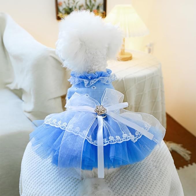 ANIAC Daisy Small Dog Dresses Female with Leash Ring,Bow Knot Girl Puppy Wedding Dress,Valentine's Cat Outfit,Fancy Pet Party Dress for Kitten Chihuahua Yorkie Pomeranian (Blue, Small)