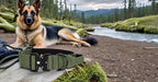 Heavy Duty Tactical Dog Collar – Adjustable Nylon with Metal Buckle, Durable & Comfortable for Medium to Large Dogs (German Shepherd, Labrador, Rottweiler), Orange, Large, for Training & Outdoor Use.