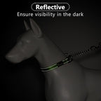Plutus Pet Martingale Dog Collar with Stainless Steel Chain and Reflective Nylon, Adjustable No Pull Training Collar, for Small Medium, and Large Dogs, Green, M