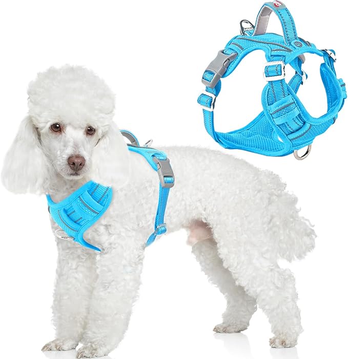BARKBAY Dog Harness No Pull with ID Tag Pocket - Heavy Duty, Reflective, Easy Control for Small Dogs(Blue,S)