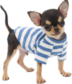 LOPHIPETS 100% Breathable Cotton Striped Dog Tee Shirt T-Shirt for Small Dogs Teacup Chihuahua Yorkie Puppy Clothes -Blue and White Strips/XS