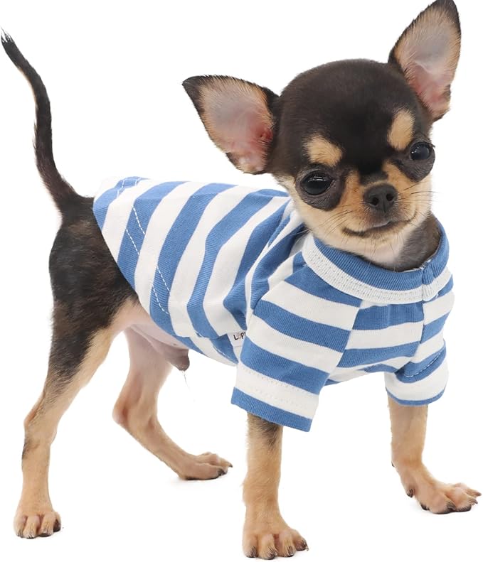 LOPHIPETS 100% Breathable Cotton Striped Dog Tee Shirt T-Shirt for Small Dogs Teacup Chihuahua Yorkie Puppy Clothes-Blue and White Strips/XXS