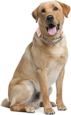 Choke Chain for Dogs,Martingale Dog Collar for Large Dogs,Training Escape Proof Heavy Duty Dog No Pull Dog Collar for Medium Large Pet Boy Male Dogs,Pink Daisy L