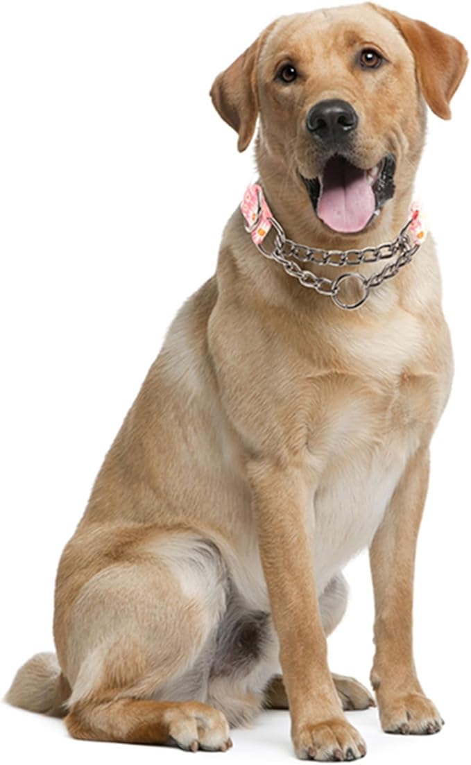 Choke Chain for Dogs,Martingale Dog Collar for Large Dogs,Training Escape Proof Heavy Duty Dog No Pull Dog Collar for Medium Large Pet Boy Male Dogs,Pink Daisy L