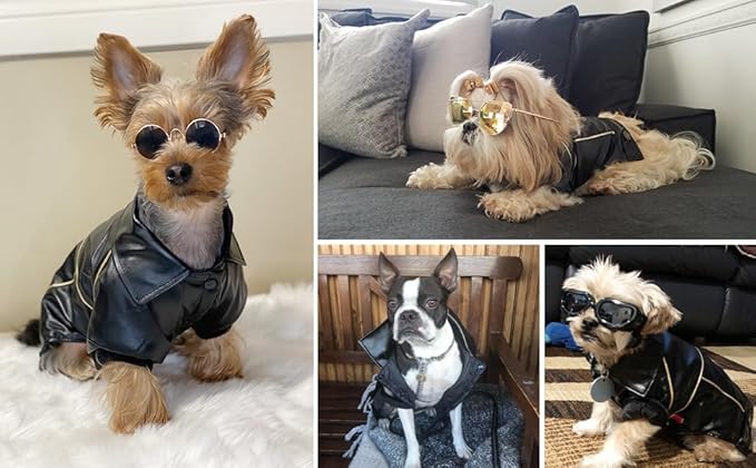 Dog Winter Coat Pu Leather Motorcycle Jacket for Dog Pet Clothes Leather Jacket, Waterproof(S)