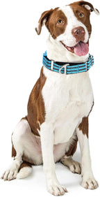 Martingale Collar for Dogs -Reflective Nylon No Slip Choke with Padded Comfort Heavy Duty Dog Collar with Quick Release Buckle for Training, Walking & Overexcited Pulling Blue S