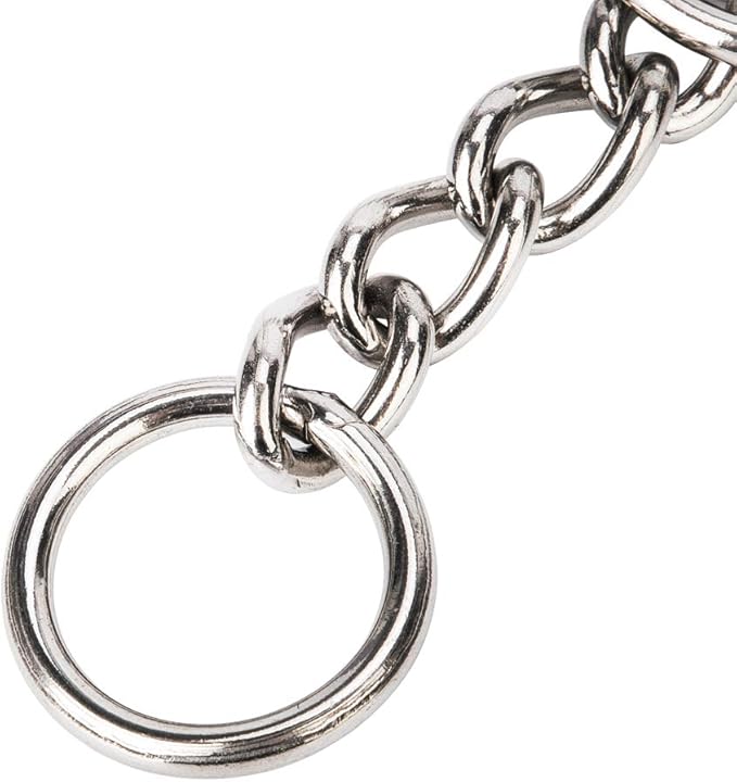 SGODA Dog Chain Collar Training Choke Collar, 16 in, 2.3 mm