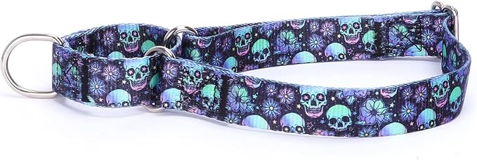 Serijoars Adjustable Martingale Dog Collar Heavy Duty Nylon Dog Collar for Medium Large Dogs Walking Training Boy and Girl Dogs (M, Skullhead)