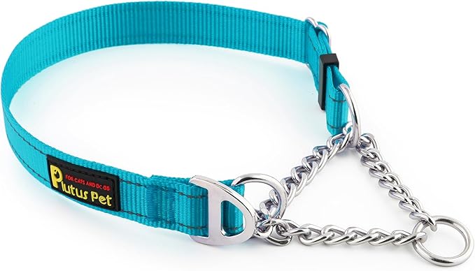 Plutus Pet Martingale Dog Collar with Stainless Steel Chain and Reflective Nylon, Adjustable No Pull Training Collar, for Small Medium, and Large Dogs, Cyan, S