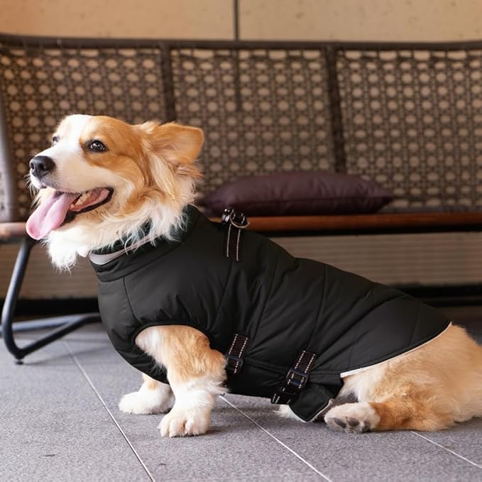 Mklhgty Large Dog Coat with Harness Built-in, Waterproof Reflective Fleece Lined - Warm Windproof Winter Jacket with Back Zipper, Cold Weather Snow Dog Coats - Black - XL