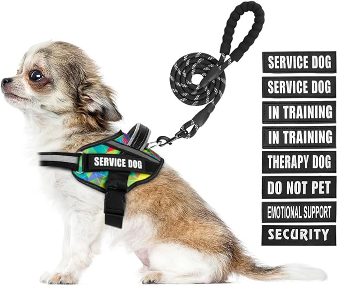 Service Dog Harness and Leash Set, XS, Multi-Colored, with 10 Patches, Reflective, for Small to XL Dogs