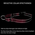 PLUTUS PET Reflective Martingale Collar with Quick Snap Buckle,No Pull Dog Choker Collar for Small Medium Large Dogs,L,Hot Pink