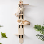 Cat Tree Door Hanger, Door Hanging Cat Climber Shelves, Vertical Space for Cats Doors Hanging
