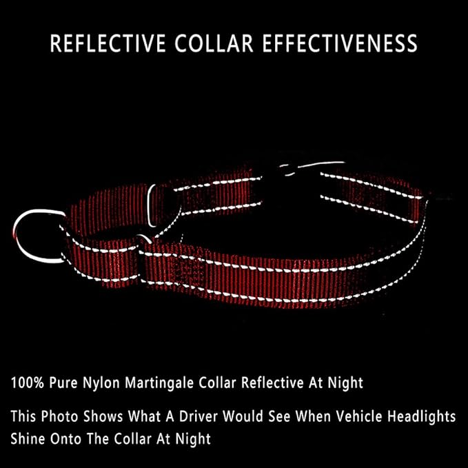PLUTUS PET Reflective Martingale Collar with Quick Snap Buckle,No Pull Dog Choker Collar for Small Medium Large Dogs,M,Red