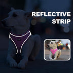 haapaw Dog Harness with Leash Set, No Pull Adjustable Reflective Step-in Puppy Harness with Thickened Padded Vest for Extra-Small/Small Medium Dogs