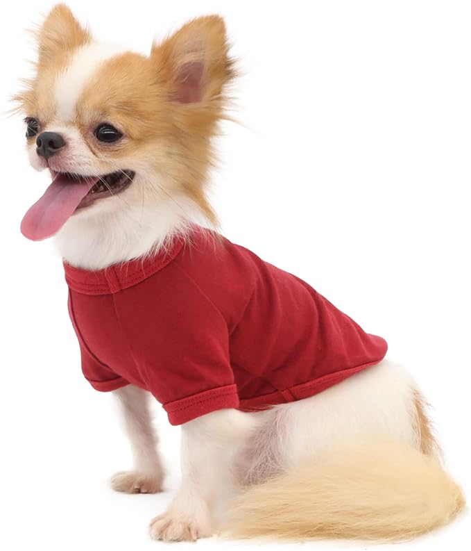 LOPHIPETS 100% Cotton Dog Tee Shirt for Small Dogs Chihuahua Puppy Clothes-Red/XL