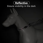 Plutus Pet Martingale Dog Collar with Stainless Steel Chain and Reflective Nylon, Adjustable No Pull Training Collar, for Small Medium, and Large Dogs, Beige, L