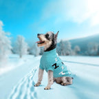 Dog Sweaters for Small Dogs Girls Boys Cold Weather Cable Knitwear Thick Warm Outfits Dog Clothes for Chihuahua Bulldog Dachshund Pug Yorkie Schnauzer Cat Sweaters (Turquoise-XS)