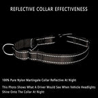 Plutus Pet Reflective Martingale Collar with Buckle - Durable and Adjustable Training Collar for No Pulling, Dog Choker Collar for Small Medium Large Dogs, Beige, M