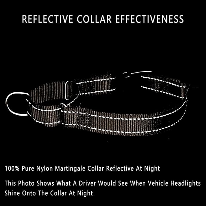 Plutus Pet Reflective Martingale Collar with Buckle - Durable and Adjustable Training Collar for No Pulling, Dog Choker Collar for Small Medium Large Dogs, Beige, L