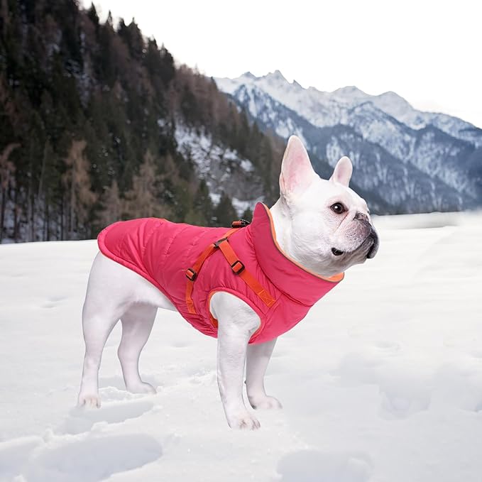 Geyecete Winter Warm Coat Waterproof Dog Winter Jacket with Harness Traction Belt,Windproof Pet Outdoor Jacket-Pink-XL