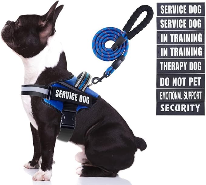 Service Dog Vest Harness and Leash Set, Animire in Training Dog Harness with 10 Dog Patches, Reflective Dog Leash with Soft Padded Handle for Small, Medium, Large, and Extra-Large Dogs (Blue,M)